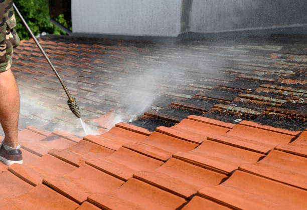 Best House Pressure Washing  in Wood River, NE