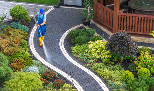 Best Roof Pressure Washing  in Wood River, NE